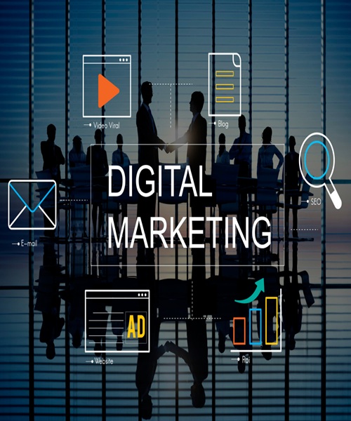 Website Development